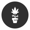 icon3