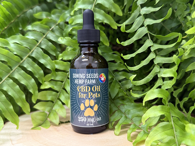 250mg CBD Oil for Pets 2oz